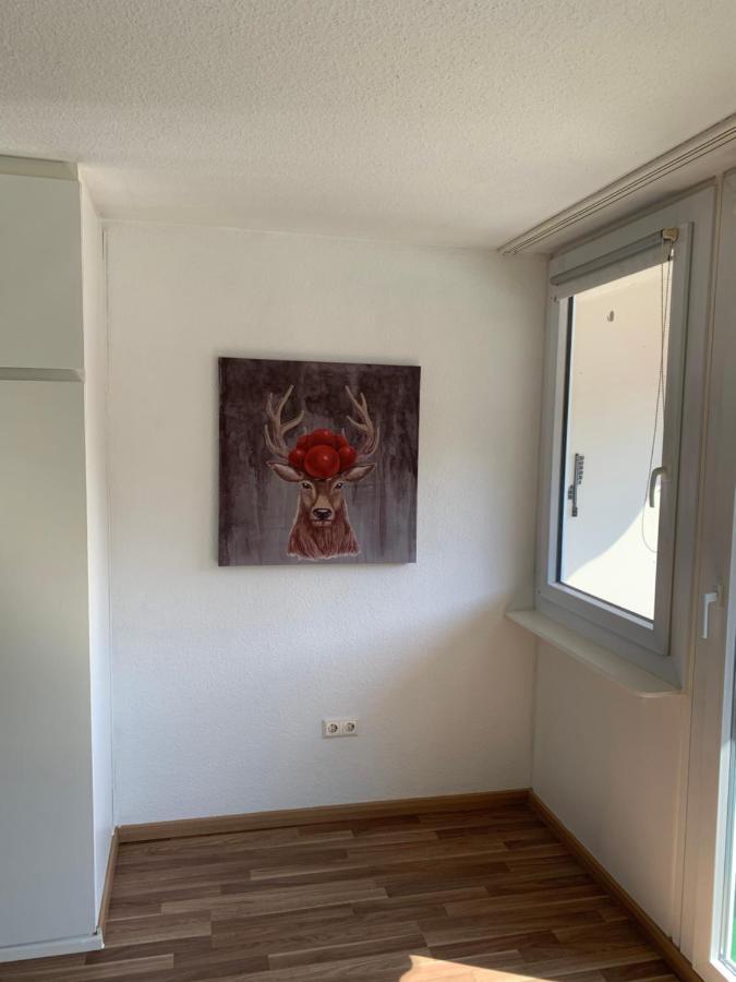 KMH 1 Zi-Apartment St. Blasien Bagian luar foto